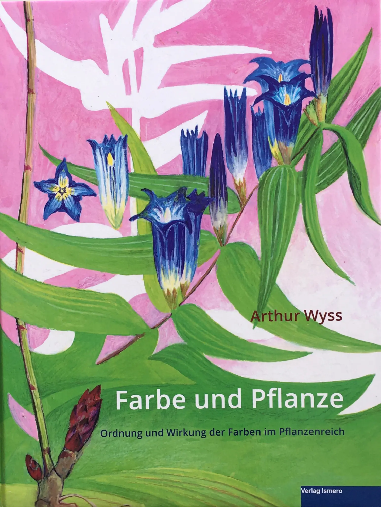 Cover: 9783952499467 | Farbe und Pflanze | Ordnung und Wirkung der Farben im Pflanzenbereich