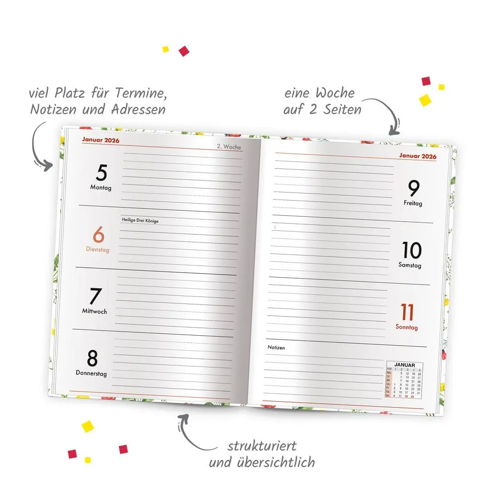Bild: 4251901509567 | Trötsch Taschenkalender A6 Marienkäfer 2026 | Wochenkalender | KG