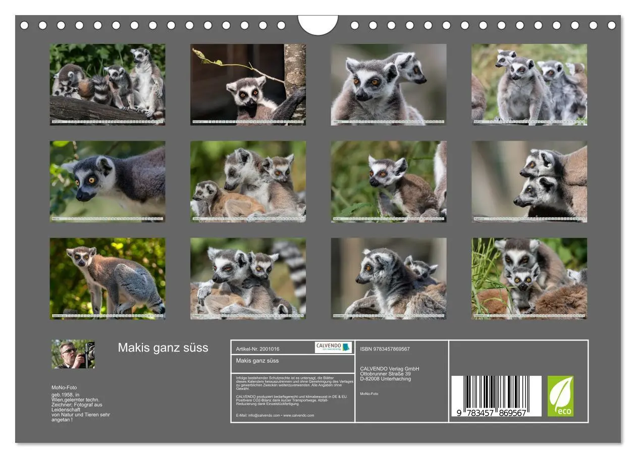 Bild: 9783457869567 | Makis ganz süss (Wandkalender 2026 DIN A4 quer), CALVENDO...