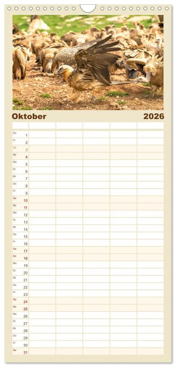 Bild: 9783516649567 | Familienplaner 2026 - Die Geier sind los mit 5 Spalten...