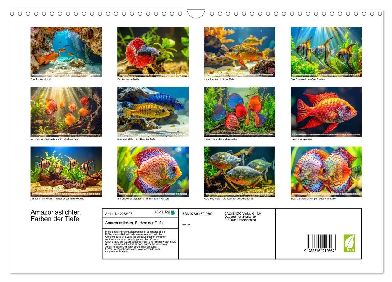 Bild: 9783516719567 | Amazonaslichter. Farben der Tiefe (Wandkalender 2026 DIN A3 quer),...