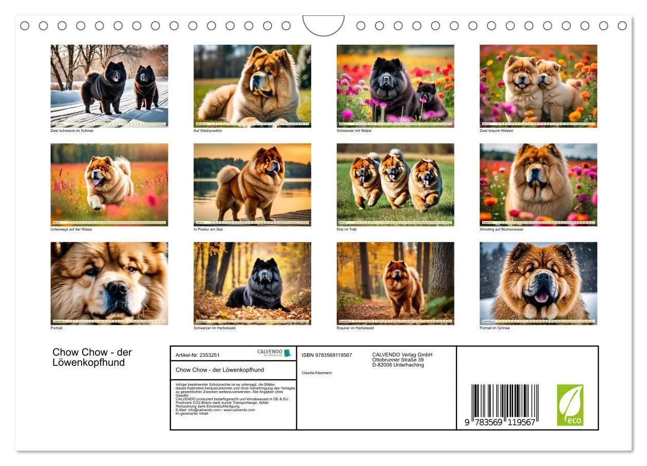 Bild: 9783569119567 | Chow Chow - der Löwenkopfhund (Wandkalender 2027 DIN A4 quer),...