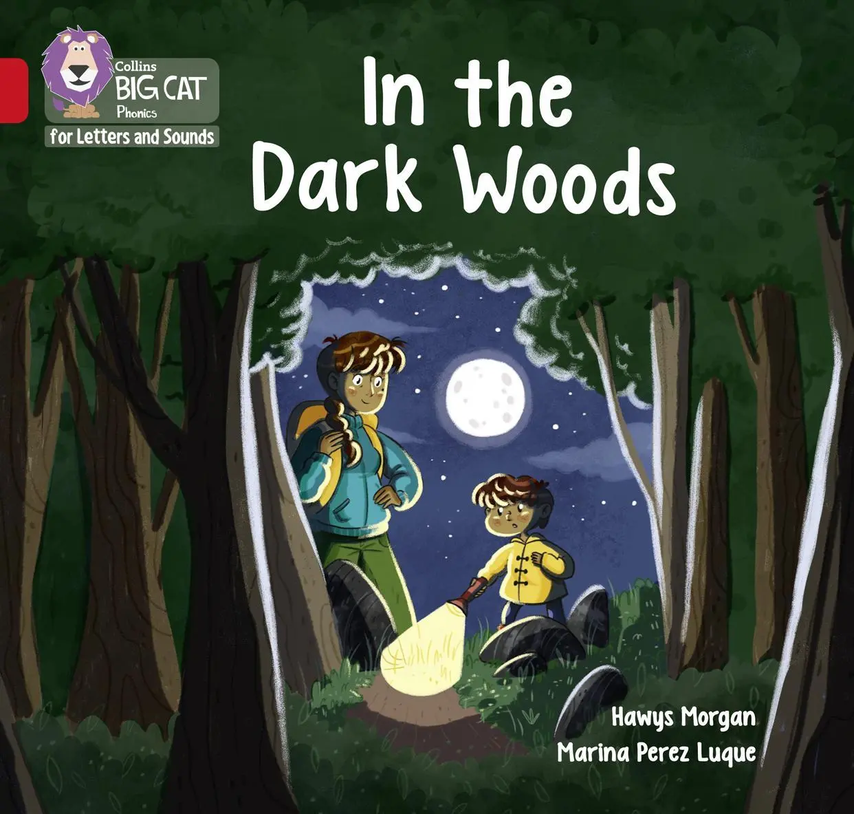 IN THE DARK WOODS