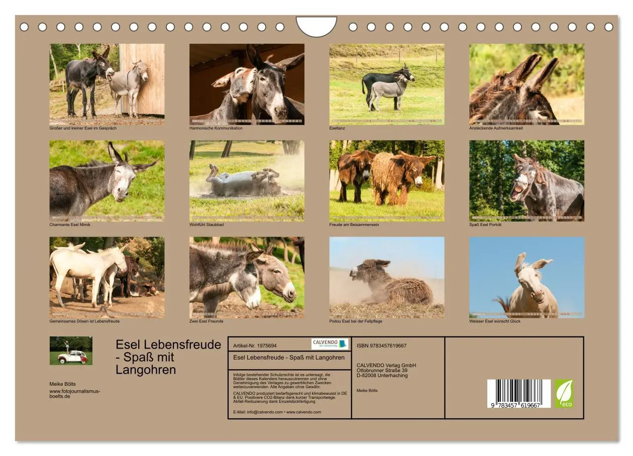 Bild: 9783457619667 | Esel Lebensfreude - Spaß mit Langohren (Wandkalender 2026 DIN A4...
