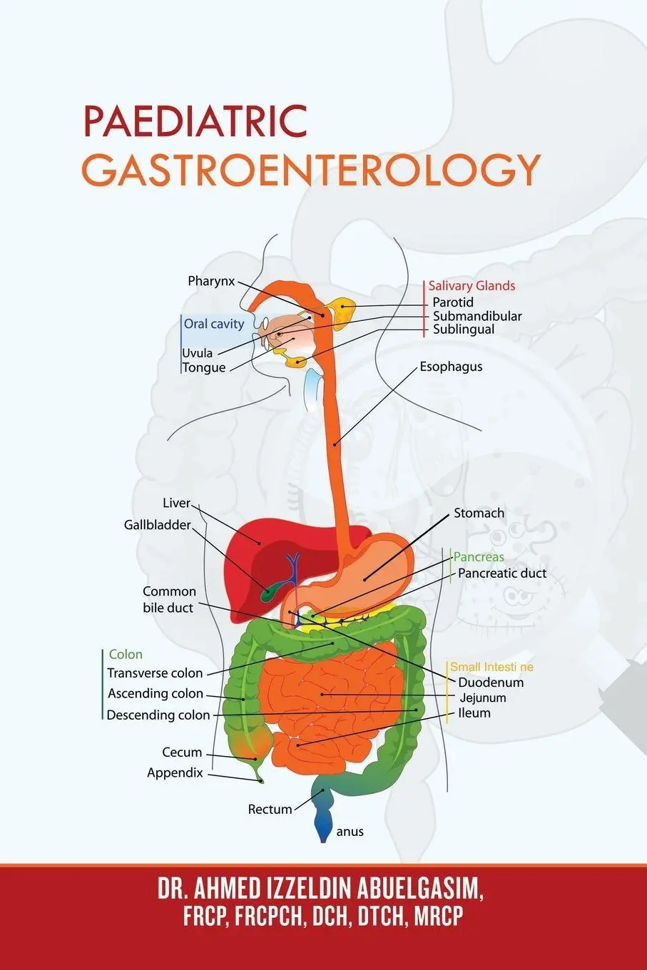 Cover: 9781728399867 | Paediatric Gastroenterology | Ahmed Izzeldin Abuelgasim | Taschenbuch