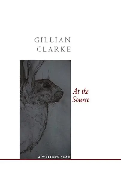 Cover: 9781857549867 | At the Source | A Writer's Year | Gillian Clarke | Taschenbuch | 2008