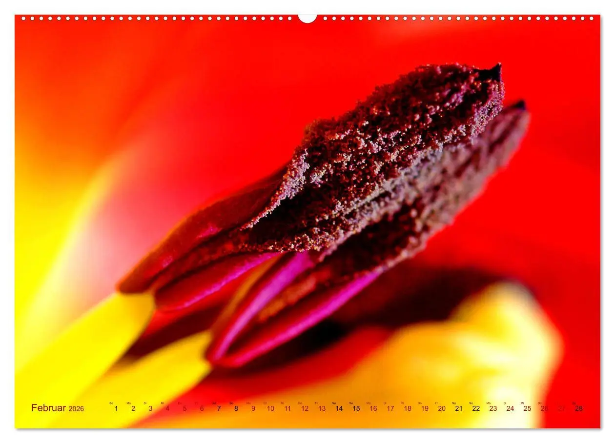 Bild: 9783457459867 | DEEP INSIDE - Blütenmakros (hochwertiger Premium Wandkalender 2026...