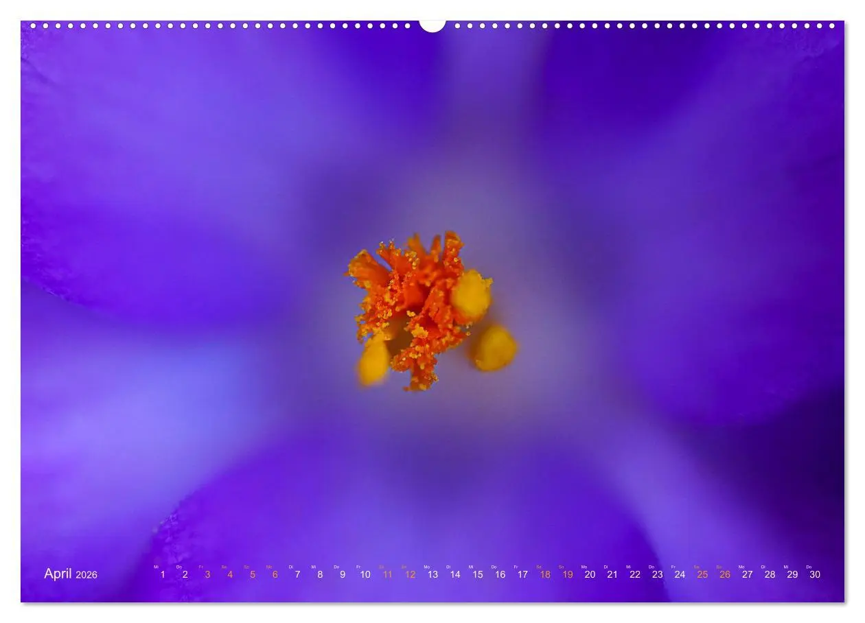 Bild: 9783457459867 | DEEP INSIDE - Blütenmakros (hochwertiger Premium Wandkalender 2026...