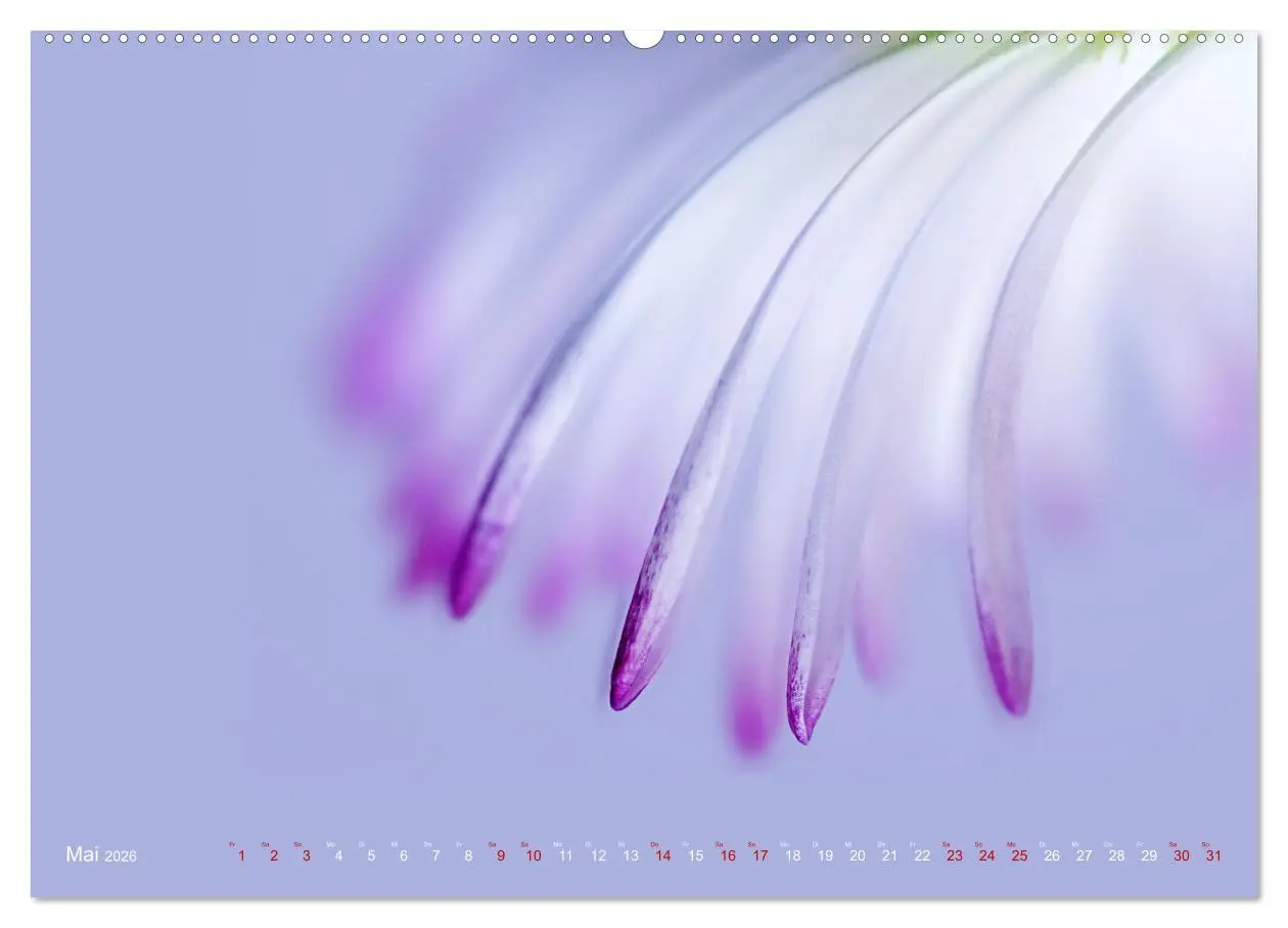 Bild: 9783457459867 | DEEP INSIDE - Blütenmakros (hochwertiger Premium Wandkalender 2026...
