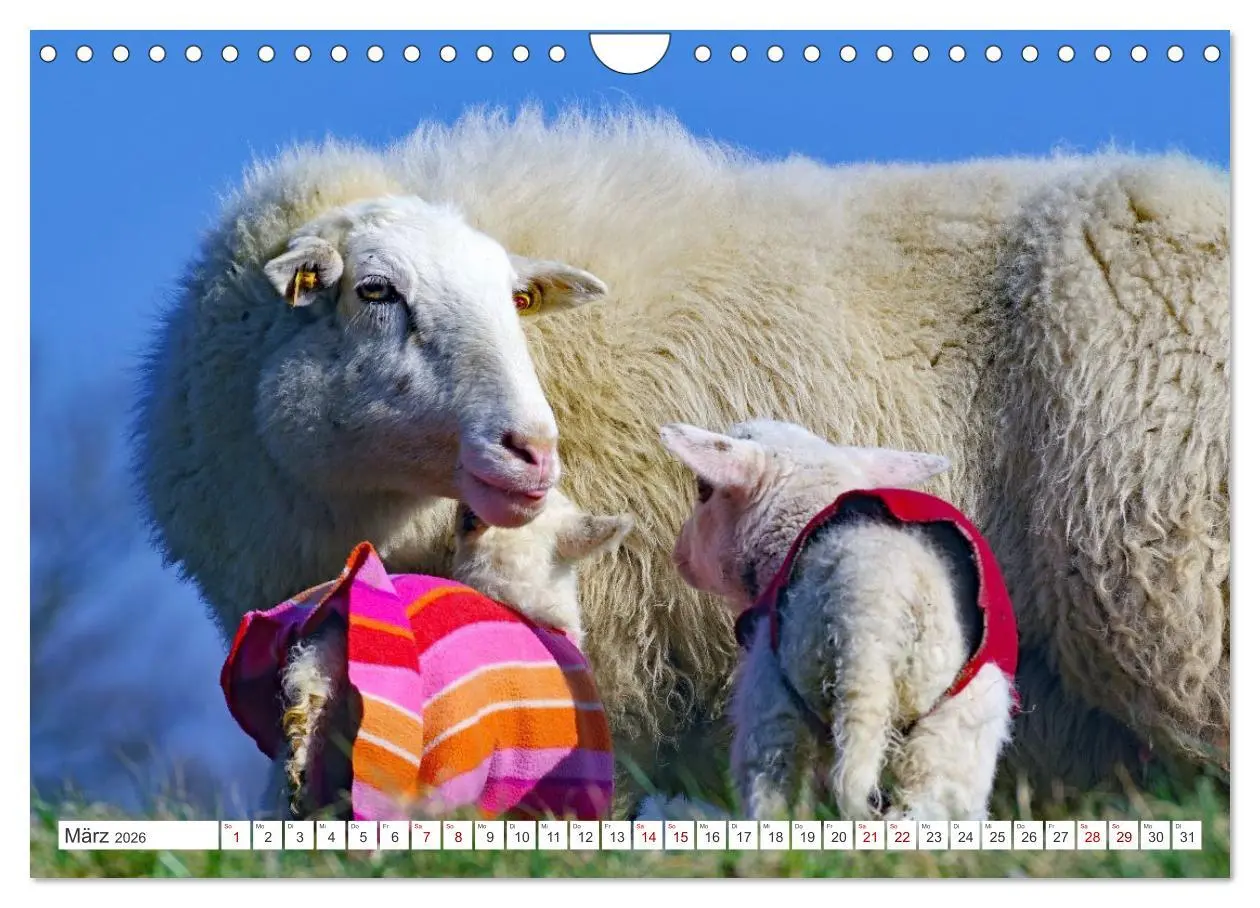 Bild: 9783457529867 | Wildes Wendland (Wandkalender 2026 DIN A4 quer), CALVENDO...
