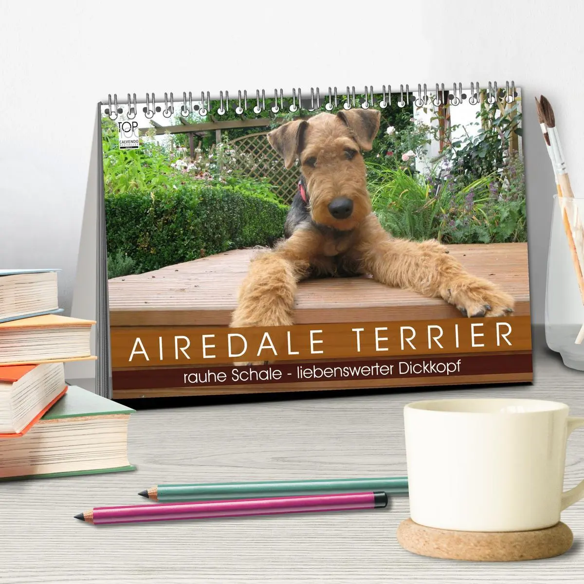 Bild: 9783516099867 | Airedale Terrier (Tischkalender 2026 DIN A5 quer), CALVENDO...