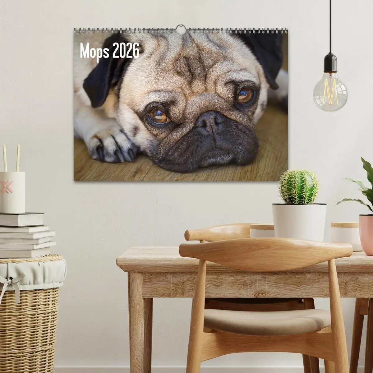 Bild: 9783516239867 | Mops 2026 (Wandkalender 2026 DIN A3 quer), CALVENDO Monatskalender