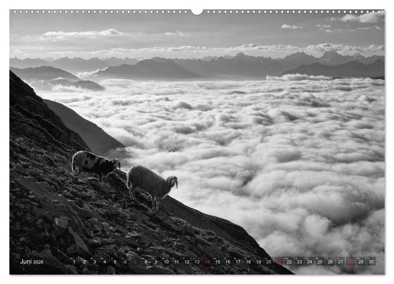 Bild: 9783516089967 | Bergsucht 2026 (hochwertiger Premium Wandkalender 2026 DIN A2...