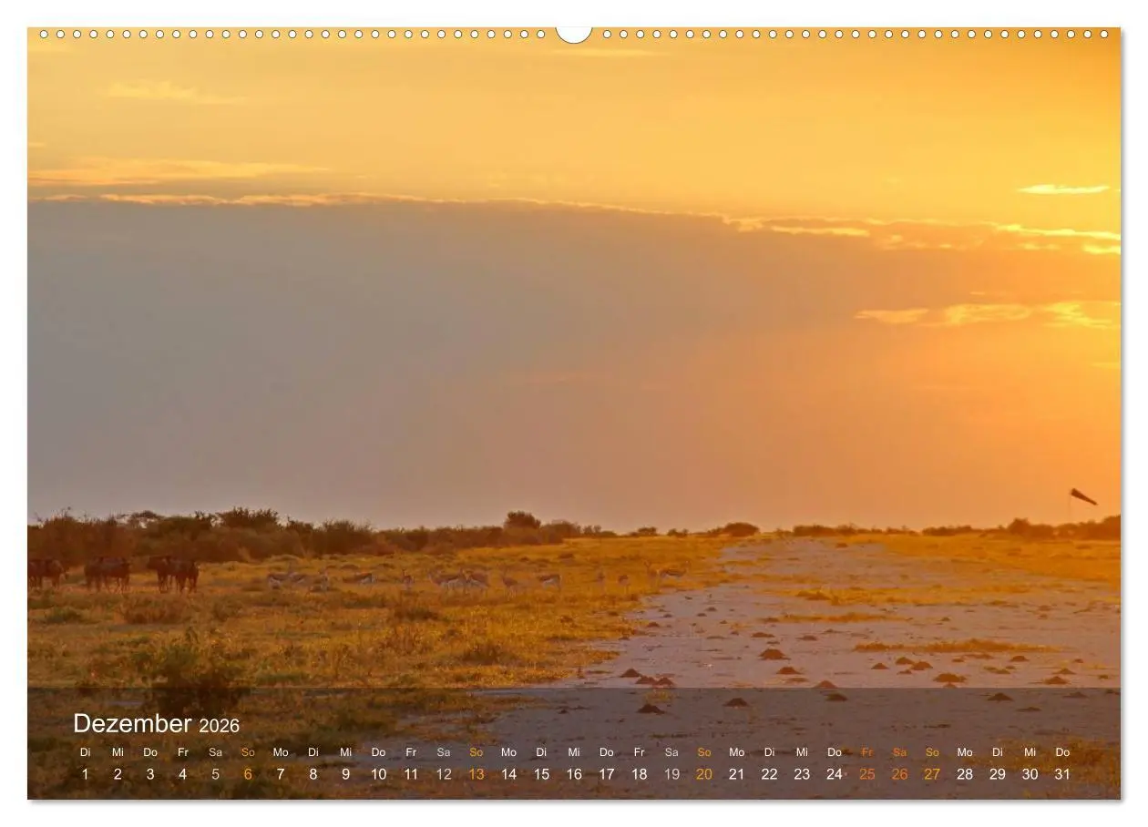 Bild: 9783516159967 | Botswana Wildlife (Wandkalender 2026 DIN A2 quer), CALVENDO...