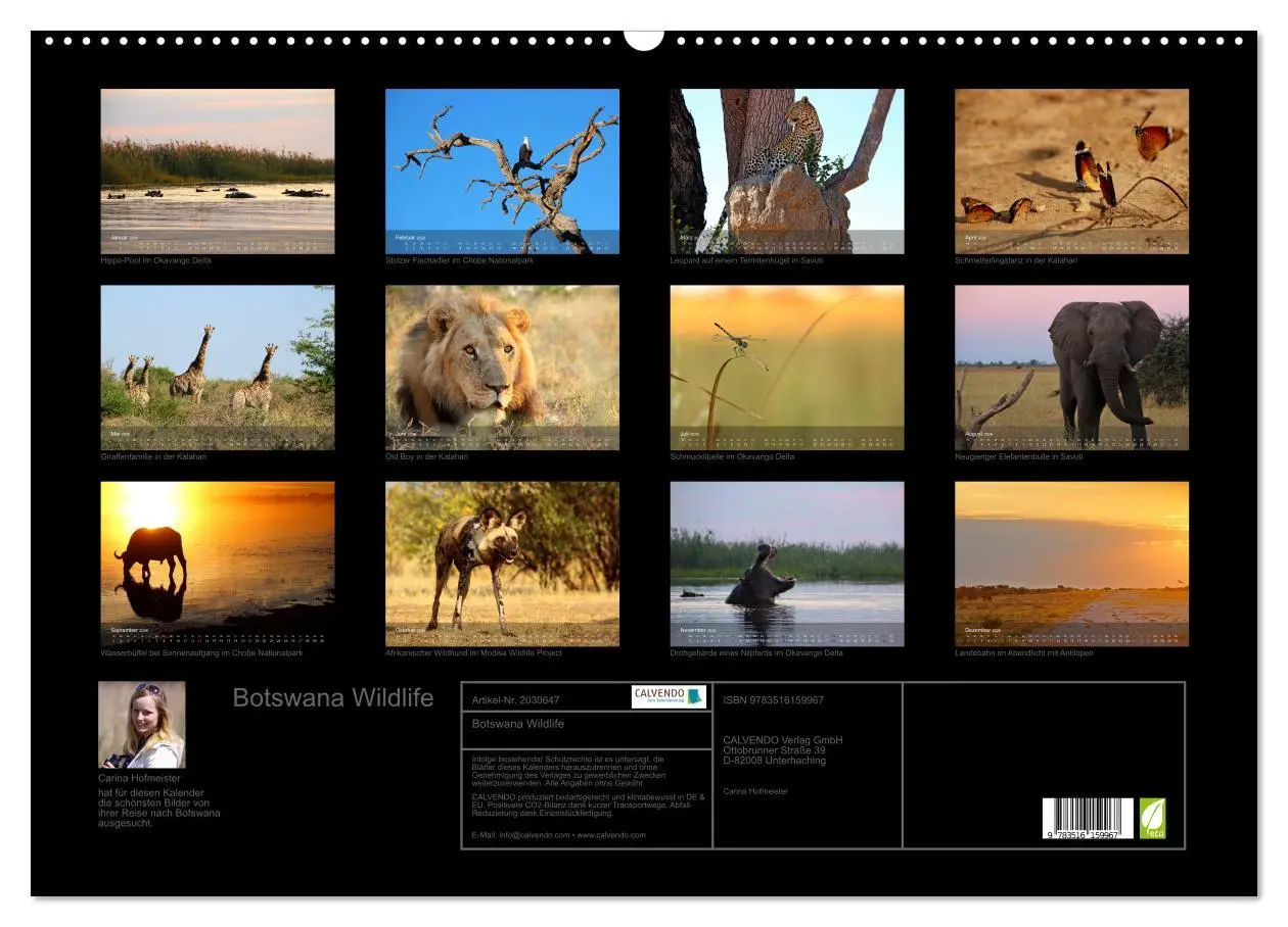 Bild: 9783516159967 | Botswana Wildlife (Wandkalender 2026 DIN A2 quer), CALVENDO...