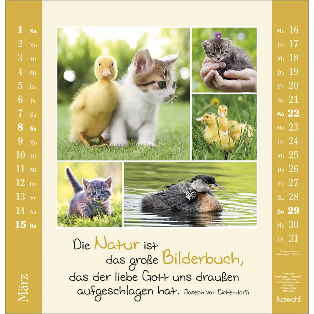 Bild: 9783754829967 | Kleine Freuden entdecken 2026 | Bildcollagen mit Mut machenden Texten