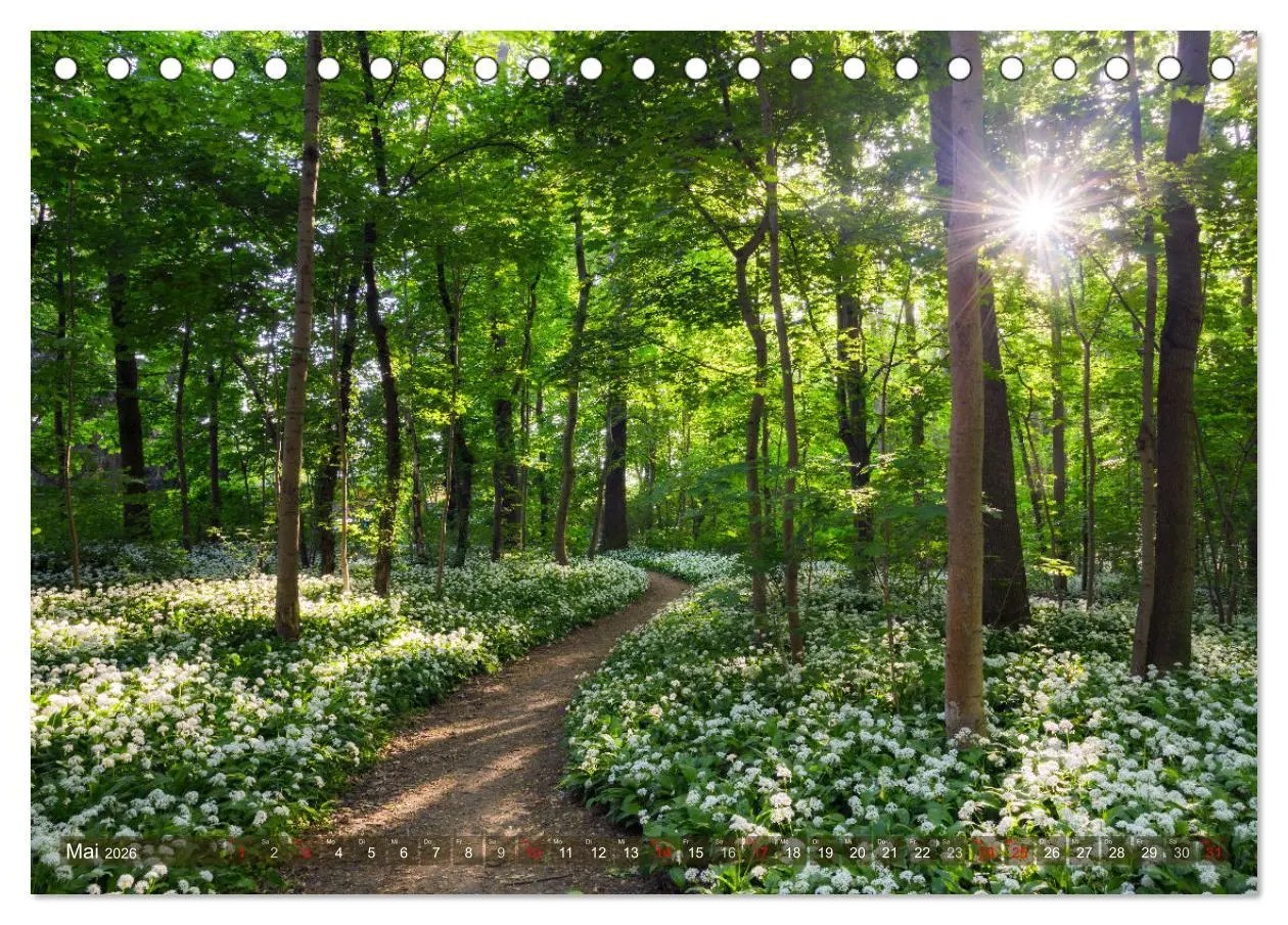 Bild: 9783457630068 | Stimmungsvolle Landschaften in Sachsen 2026 (Tischkalender 2026 DIN...
