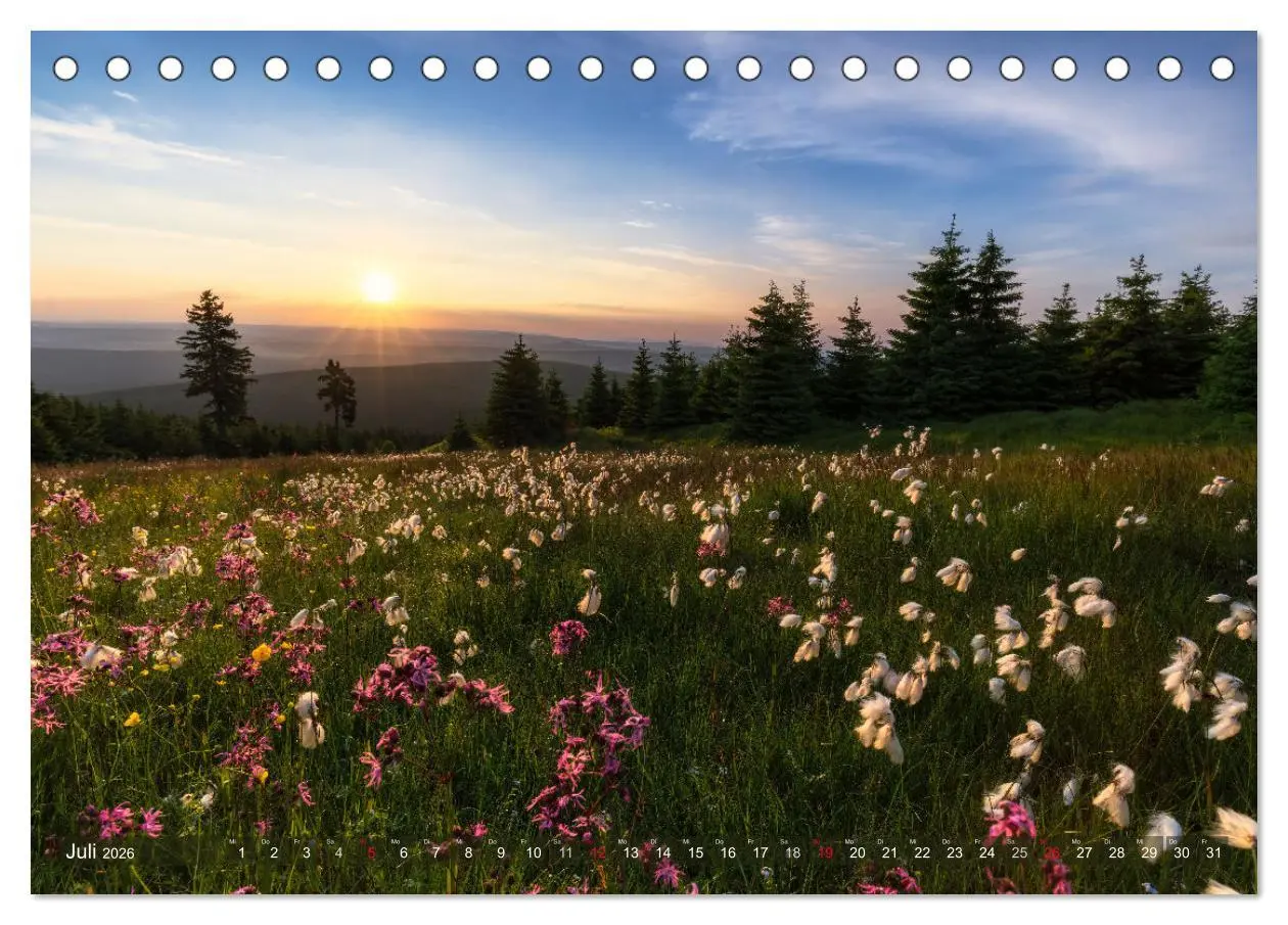 Bild: 9783457630068 | Stimmungsvolle Landschaften in Sachsen 2026 (Tischkalender 2026 DIN...