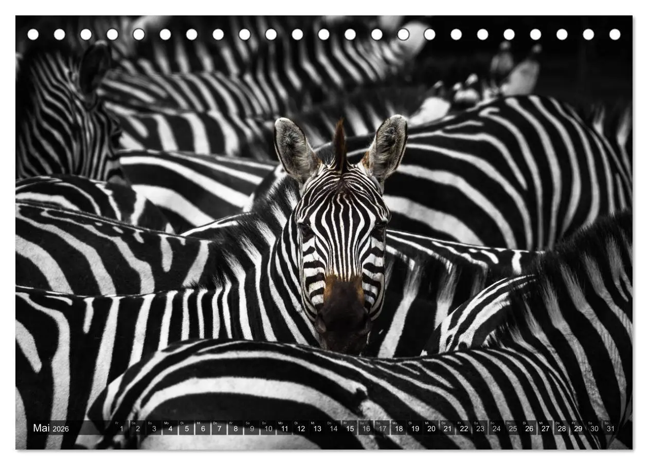 Bild: 9783457870068 | spotlight tansania (Tischkalender 2026 DIN A5 quer), CALVENDO...