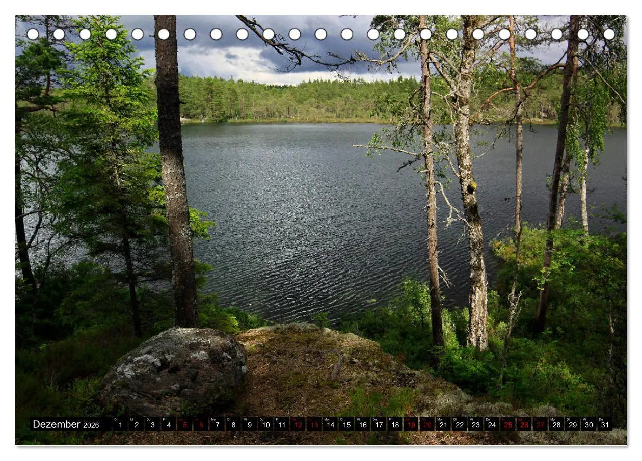 Bild: 9783457940068 | Tiveden, der NatURWALD in Schweden (Tischkalender 2026 DIN A5...