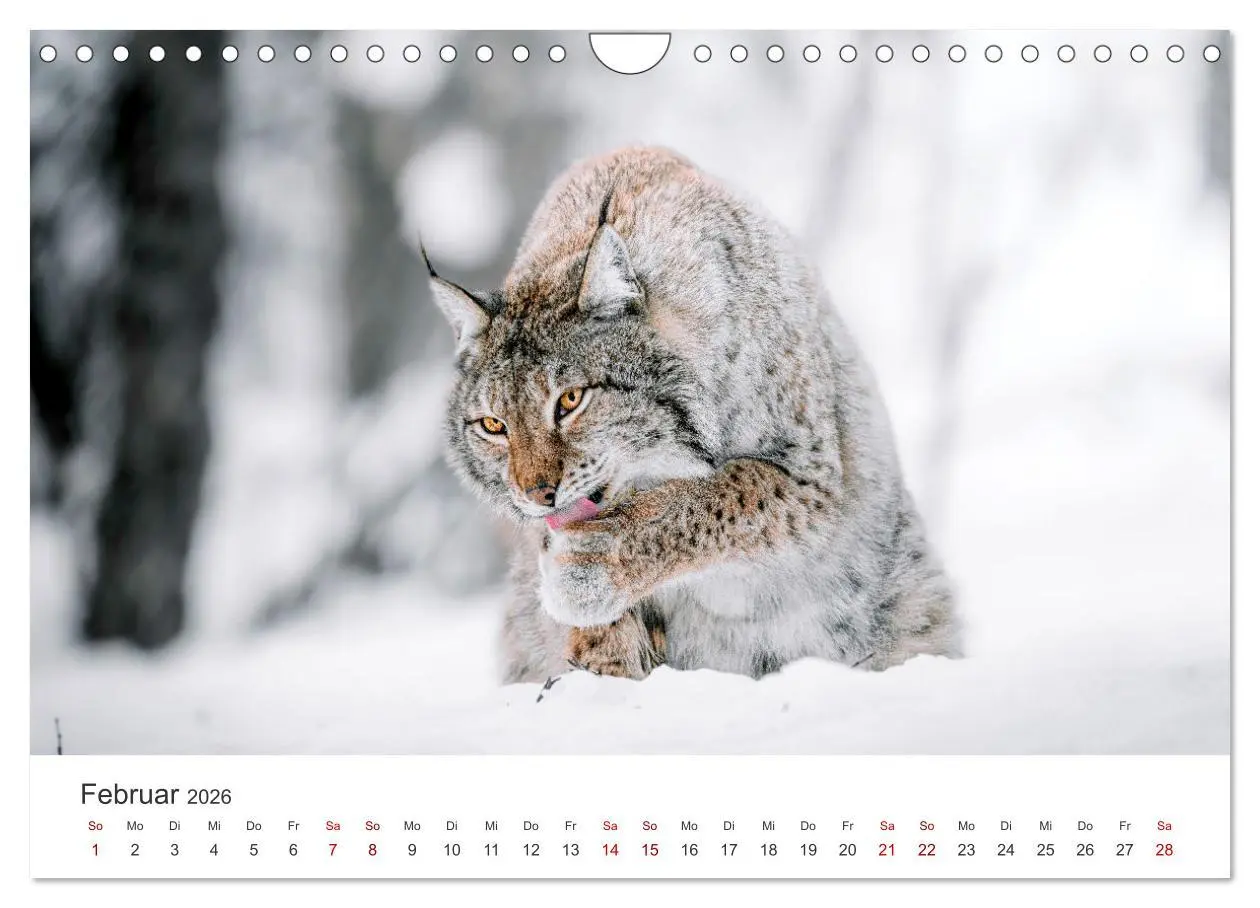 Bild: 9783457550168 | British Columbia - Faszination Kanada (Wandkalender 2026 DIN A4...