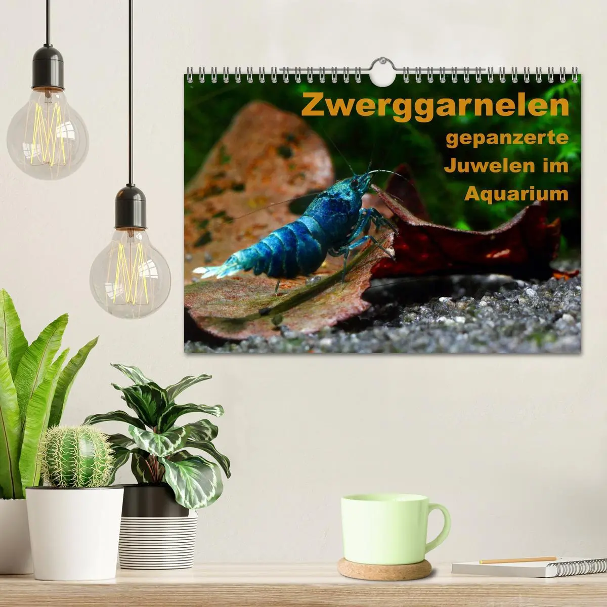 Bild: 9783516020168 | Zwerggarnelen - gepanzerte Juwelen im Aquarium (Wandkalender 2026...
