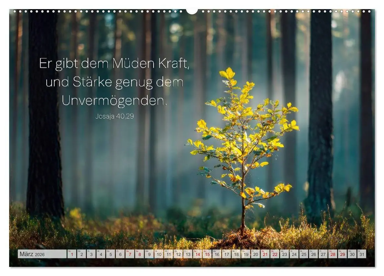 Bild: 9783516710168 | Psalmen und Bibelverse - Himmlische Botschaften (hochwertiger...