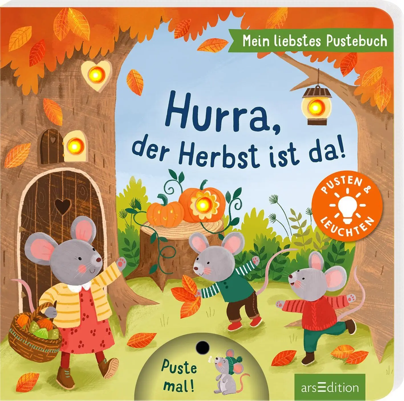Cover: 9783845870168 | Mein liebstes Pustebuch - Hurra, der Herbst ist da! | Maria Höck