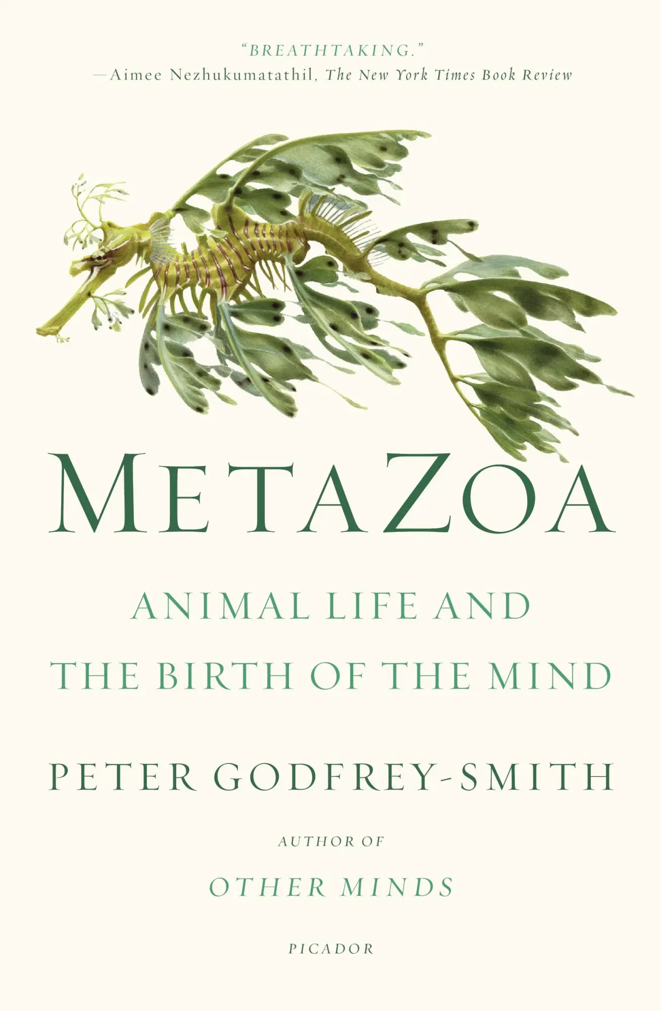 Cover: 9781250800268 | Metazoa | Animal Life and the Birth of the Mind | Peter Godfrey-Smith
