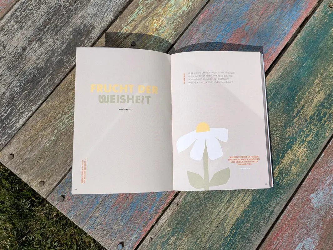 Bild: 9783417010268 | Nicht mehr und nicht weniger | Sarah Marie | Buch | 208 S. | Deutsch