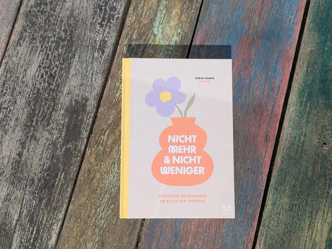 Bild: 9783417010268 | Nicht mehr und nicht weniger | Sarah Marie | Buch | 208 S. | Deutsch
