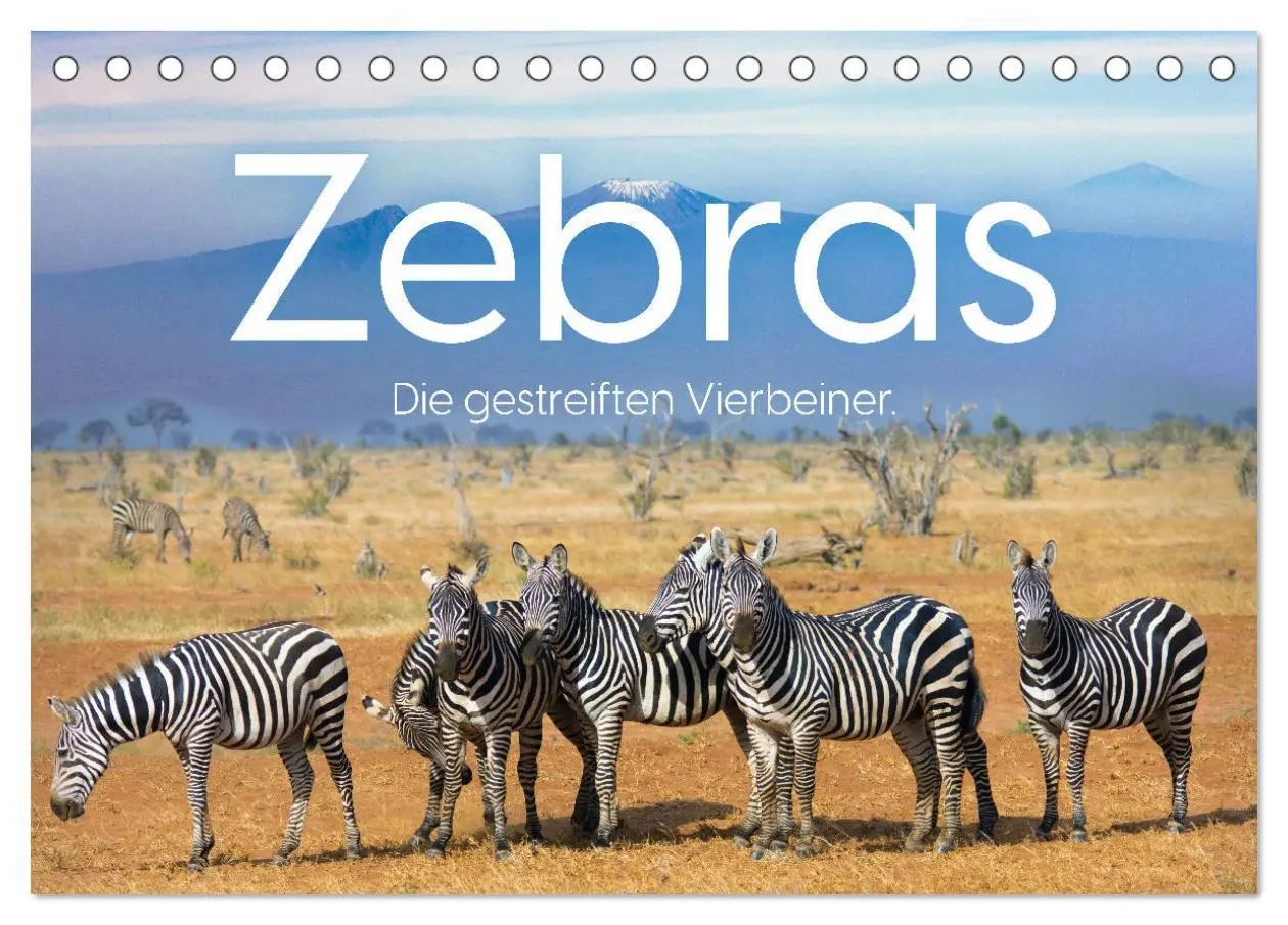 Cover: 9783457540268 | Zebras - Die gestreiften Vierbeiner. (Tischkalender 2026 DIN A5...
