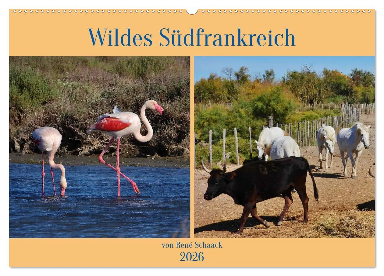 Cover: 9783457780268 | Wildes Südfrankreich (Wandkalender 2026 DIN A2 quer), CALVENDO...