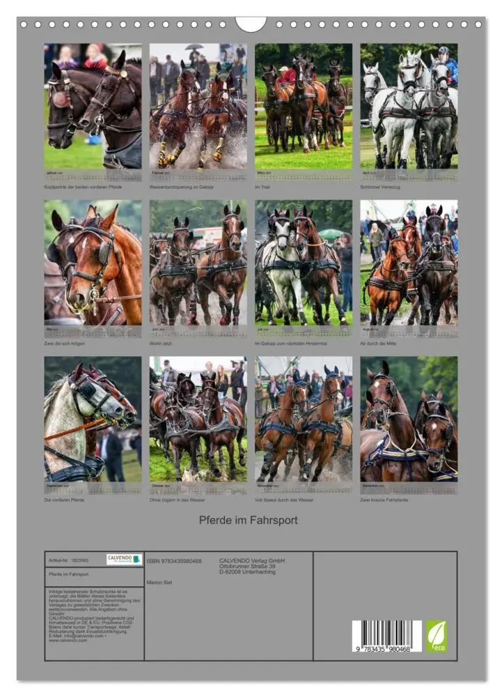 Bild: 9783435980468 | Pferde im Fahrsport (Wandkalender 2025 DIN A3 hoch), CALVENDO...