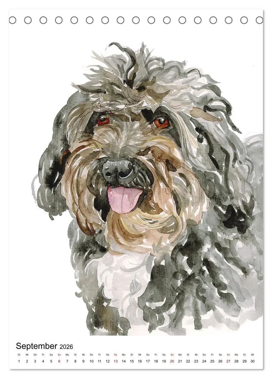 Bild: 9783516300468 | Hunde Porträts in Aquarell (Tischkalender 2026 DIN A5 hoch),...