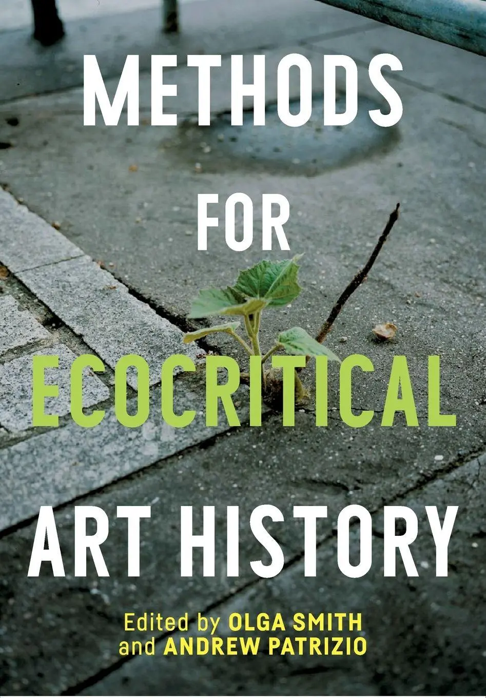 Cover: 9781526180568 | Methods for ecocritical art history | Olga Smith (u. a.) | Taschenbuch