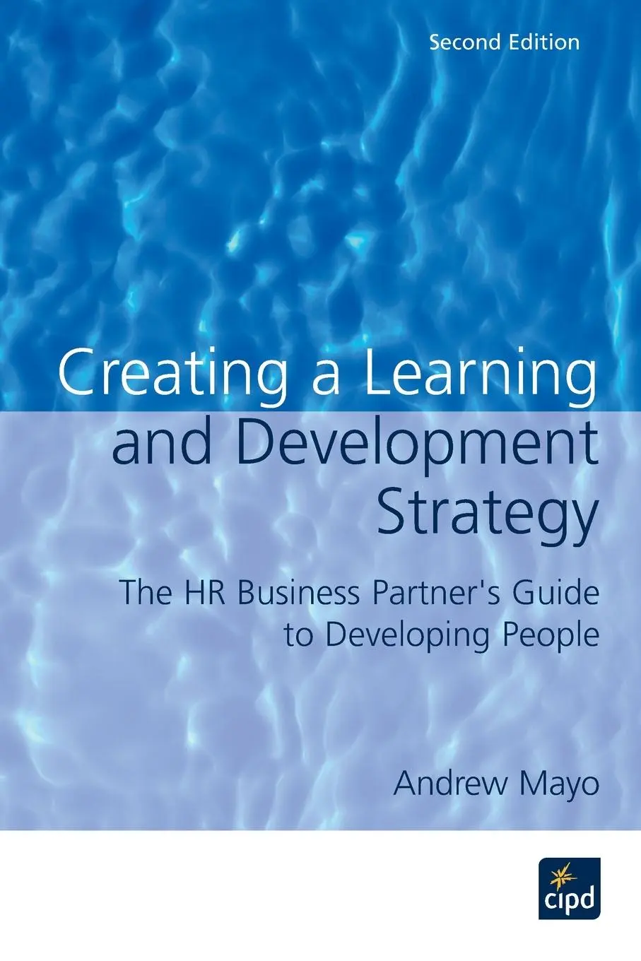 Cover: 9781843980568 | Creating a Learning and Development Strategy | Andrew Mayo | Buch