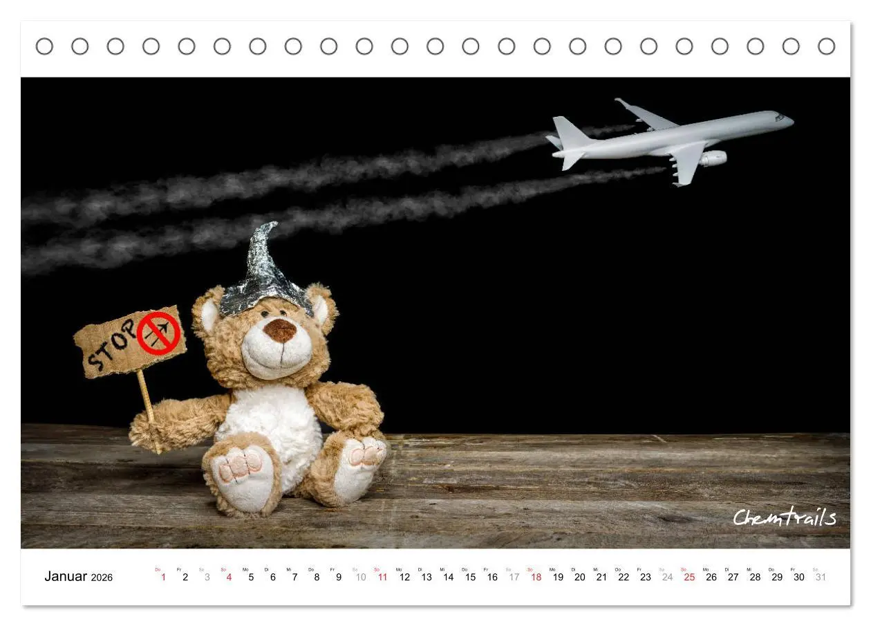 Bild: 9783457680568 | Verschwörungs - und andere Theorien (Tischkalender 2026 DIN A5...