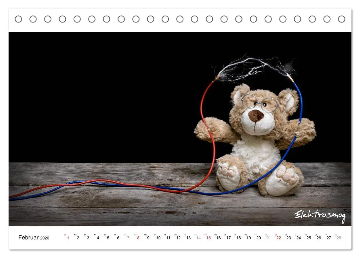 Bild: 9783457680568 | Verschwörungs - und andere Theorien (Tischkalender 2026 DIN A5...