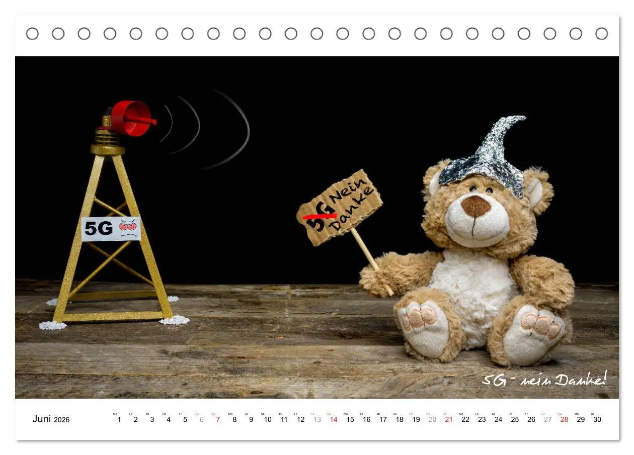 Bild: 9783457680568 | Verschwörungs - und andere Theorien (Tischkalender 2026 DIN A5...