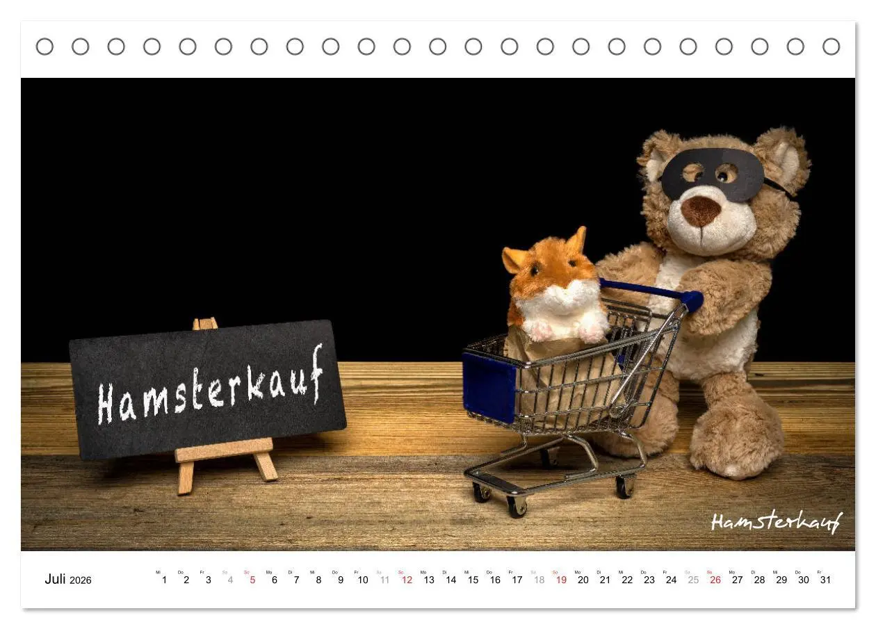 Bild: 9783457680568 | Verschwörungs - und andere Theorien (Tischkalender 2026 DIN A5...