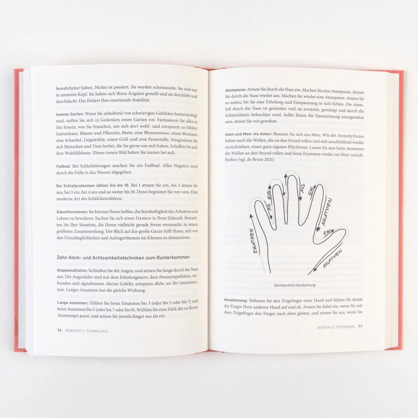 Bild: 9783593520568 | Team Care | Know-how für Führungskräfte | Andrea Länger | Buch | 2025
