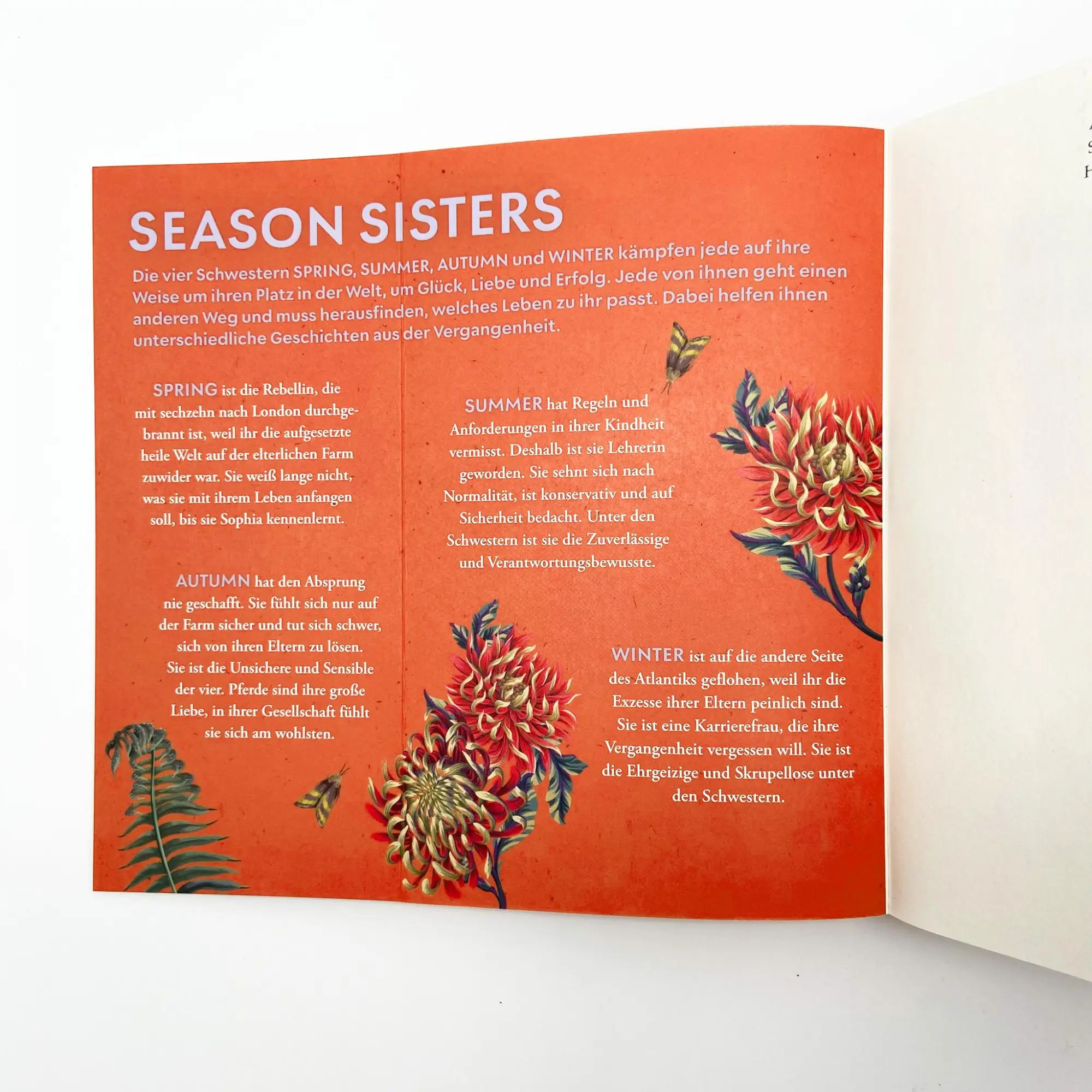 Bild: 9783423220668 | Season Sisters - Herbstschatten | Anna Helford | Taschenbuch | 368 S.