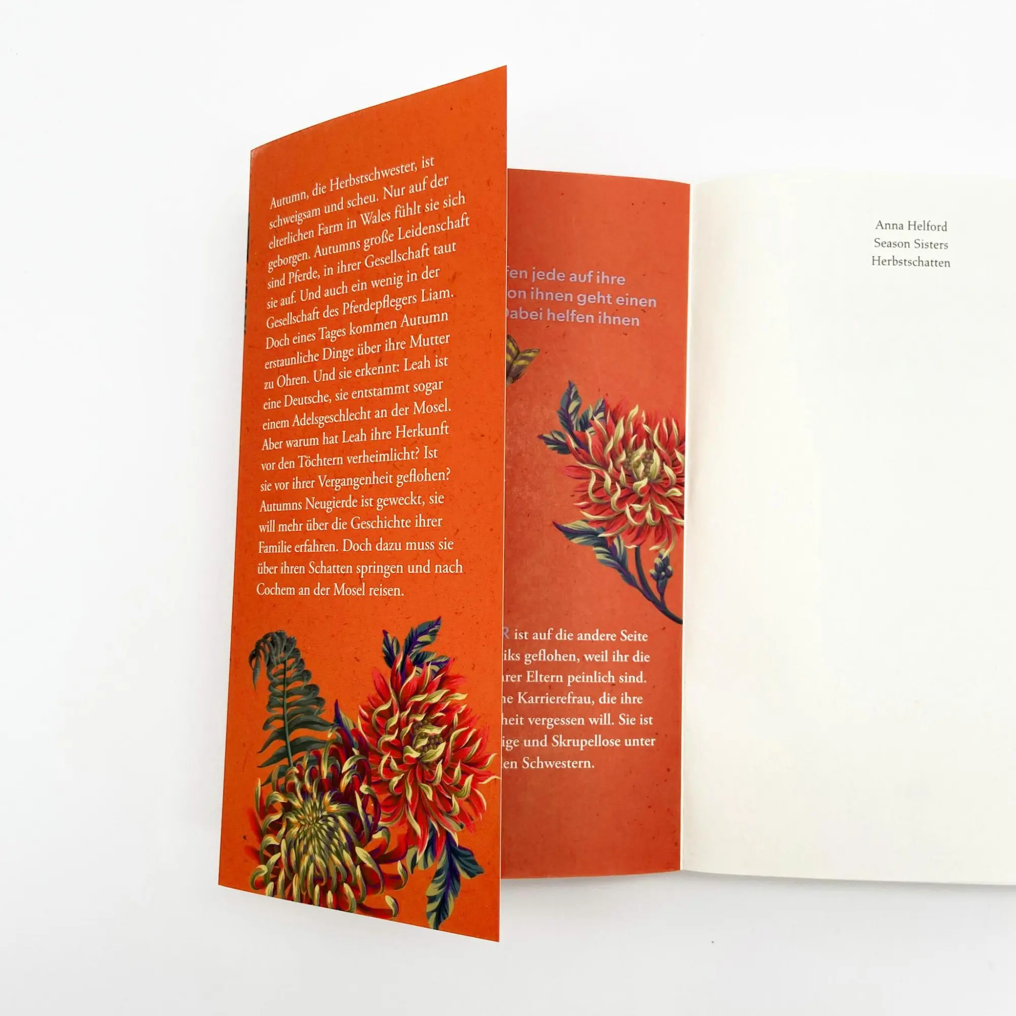 Bild: 9783423220668 | Season Sisters - Herbstschatten | Anna Helford | Taschenbuch | 368 S.