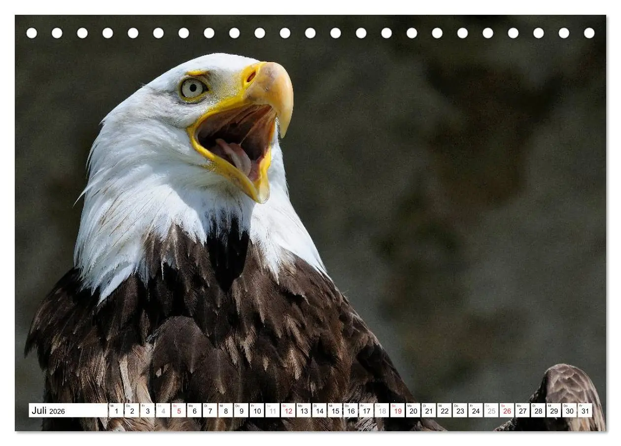 Bild: 9783516060768 | Alaska - Lockruf der Wildnis (Tischkalender 2026 DIN A5 quer),...