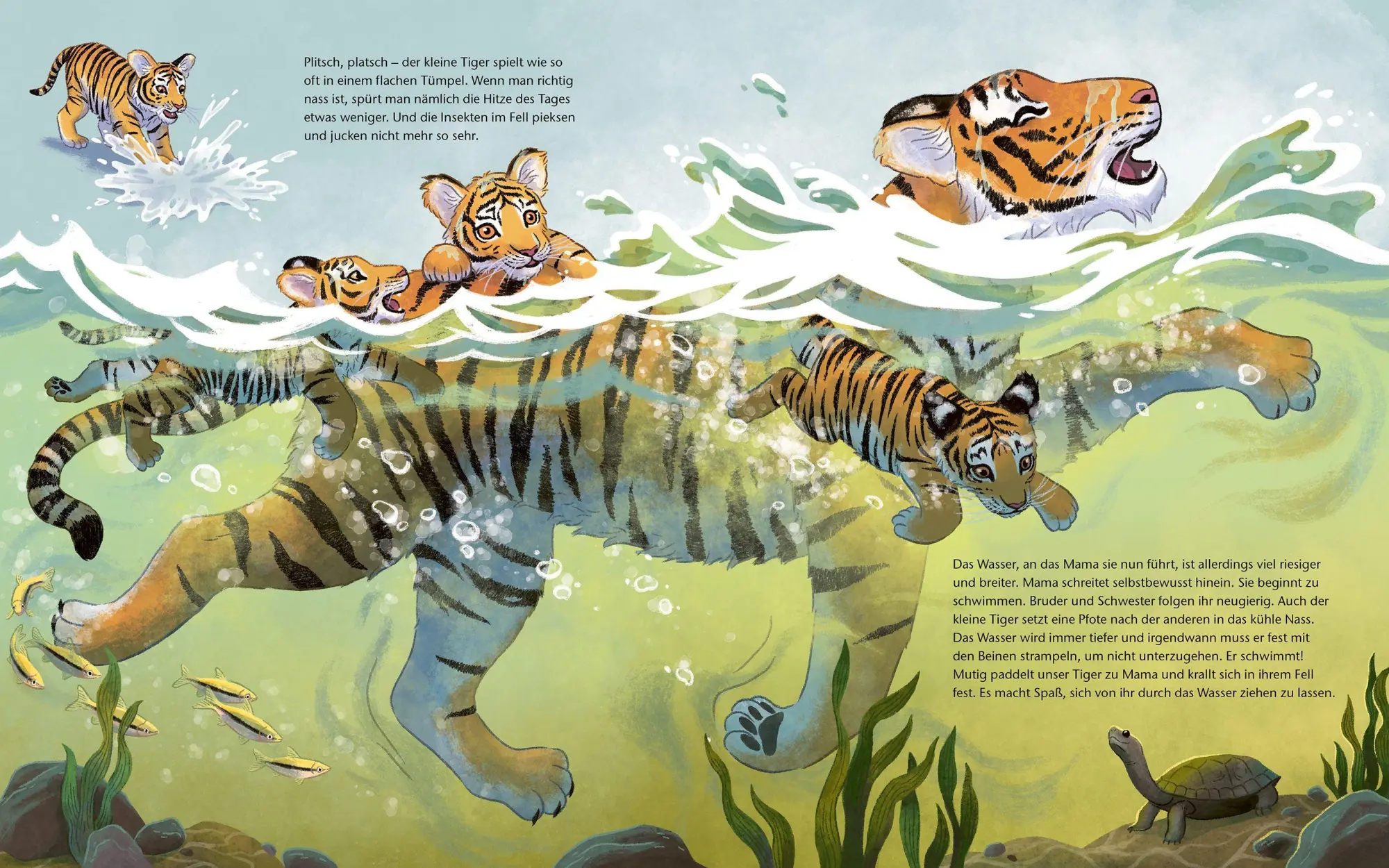 Bild: 9783734860768 | Der kleine Tiger - Zu Hause in Indien | Kristina Scharmacher-Schreiber