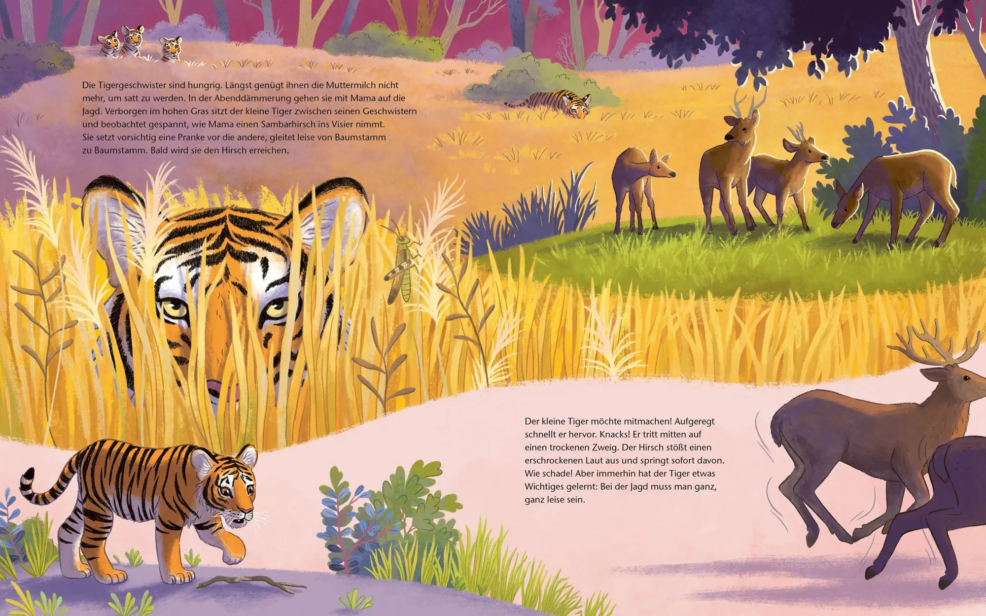 Bild: 9783734860768 | Der kleine Tiger - Zu Hause in Indien | Kristina Scharmacher-Schreiber