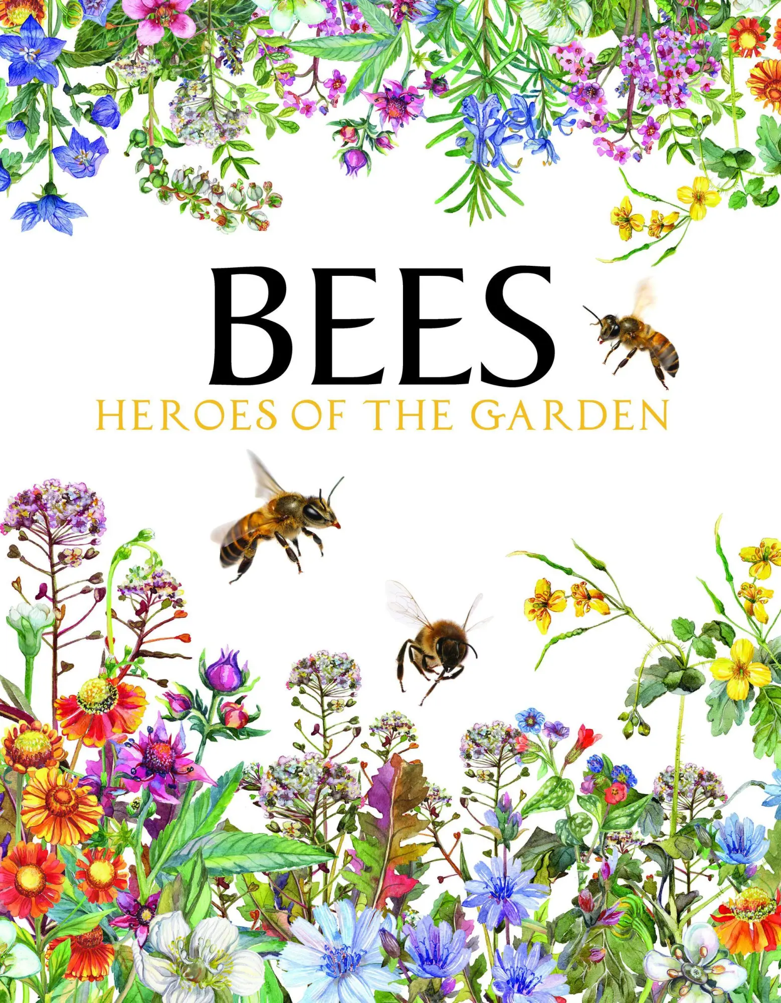 Cover: 9781838860868 | Bees | Heroes of the Garden | Tom Jackson | Buch | Gebunden | Englisch
