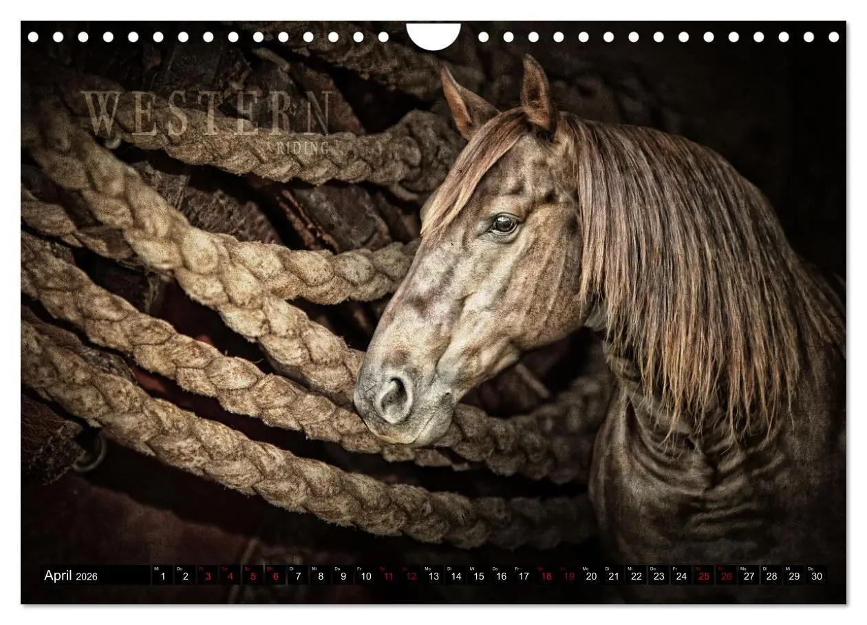 Bild: 9783457650868 | Magie Wilder Westen (Wandkalender 2026 DIN A4 quer), CALVENDO...