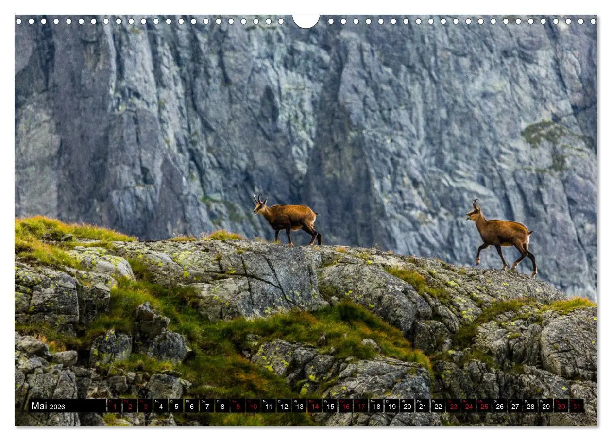 Bild: 9783457890868 | Tatra. Polen und Slowakei (Wandkalender 2026 DIN A3 quer), CALVENDO...